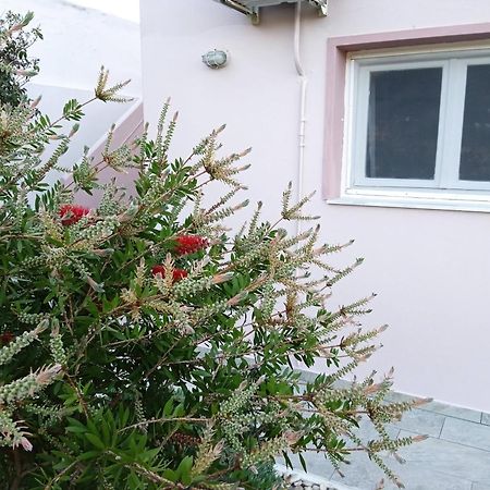Andros Lighthouse Apartments Mesaria  Exterior photo
